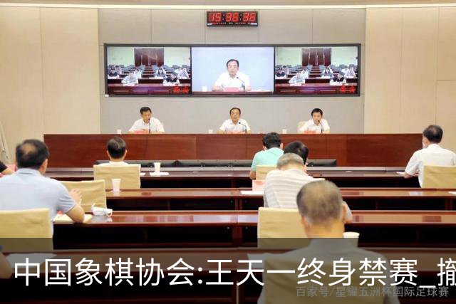 中国象棋协会:王天一终身禁赛 撤销特大等称号