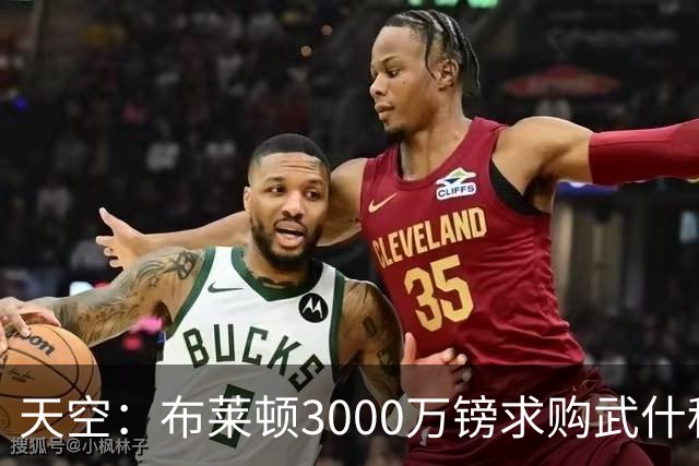 天空：布莱顿3000万镑求购武什科维奇，预计热刺对其估值超6000万